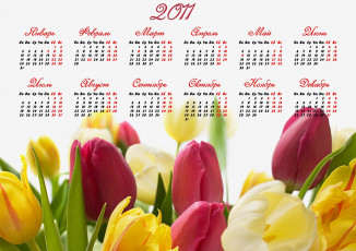 обоя календари, цветы, красный, желтый, тюльпаны