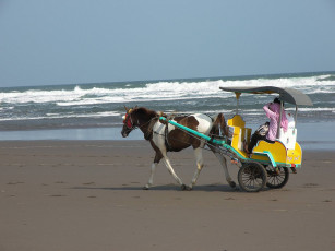 Картинка разное транспортные средства магистрали песок ьоре лошадь
