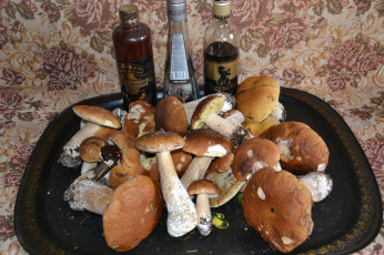 Картинка дары еда грибы грибные блюда напитки