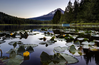 Картинка природа реки озера озеро лилии гора
