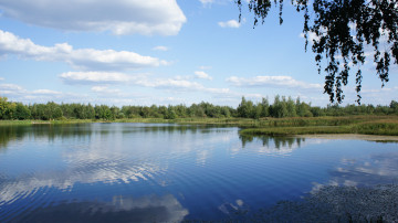Картинка природа реки озера облака небо лес россия пруд