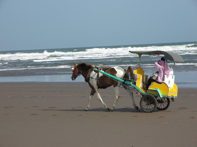 Обои картинки фото разное, транспортные, средства, магистрали, песок, ьоре, лошадь