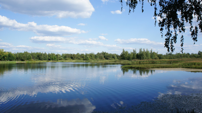 Обои картинки фото природа, реки, озера, облака, небо, лес, россия, пруд