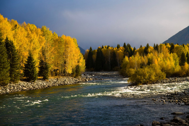 Обои картинки фото природа, реки, озера, лес, река, камни, осень