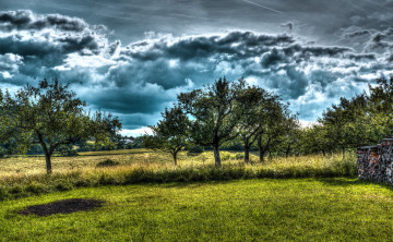 Картинка природа деревья облака поленница лес холмы трава поле
