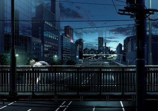 Картинка аниме *unknown+ другое кровь небо облака фонари город дома вечер мост парень арт