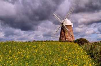 Картинка разное мельницы цветы рапс тучи небо облака природа поле ветряная мельница