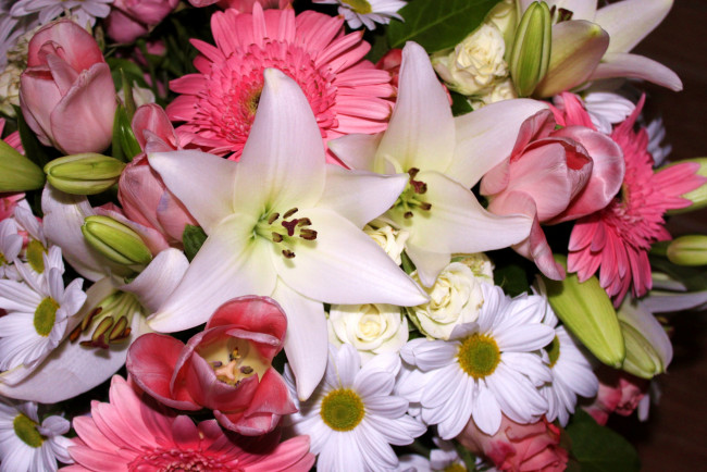 Обои картинки фото цветы, разные вместе, лилии, тюльпаны, герберы