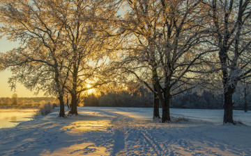 Картинка природа зима солнце тропинка снег деревья берег десна река пейзаж брянск