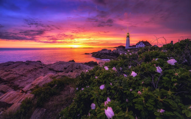 Обои картинки фото природа, маяки, маяк, небо, закат, море, берег, камни, цветы