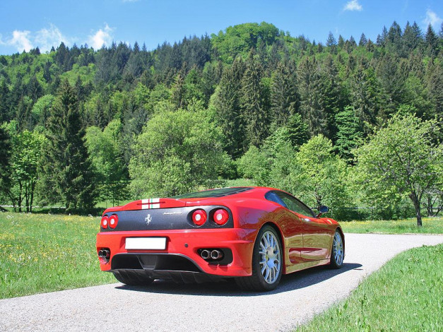 Обои картинки фото автомобили, ferrari