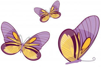 Картинка векторная+графика животные бабочки