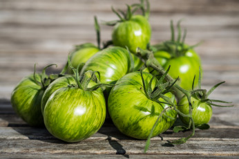 Картинка еда помидоры полосатые зелёные