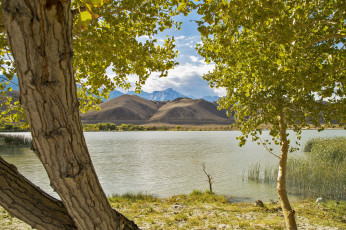 Картинка природа реки озера горы деревья озеро