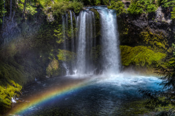 Картинка природа радуга водопад река лес