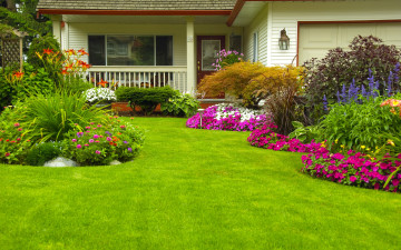Картинка цветы разные+вместе трава цинния петунья кусты газон сад дом зелень