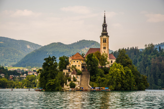 Обои картинки фото bled , slovenia, города, - здания,  дома, озеро, остров, шпиль