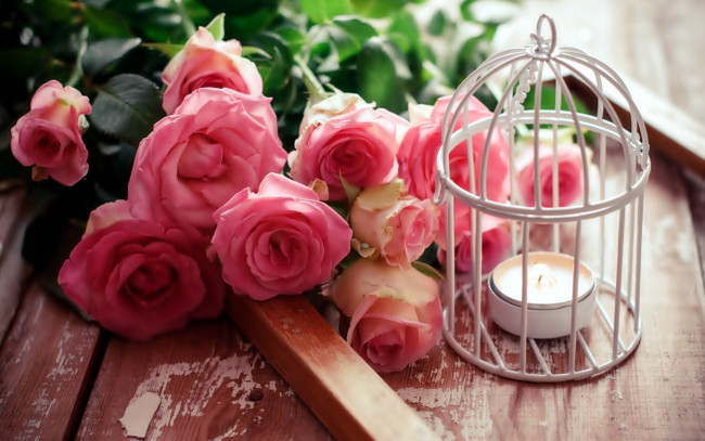 Обои картинки фото цветы, розы, розовые, свеча, бутоны