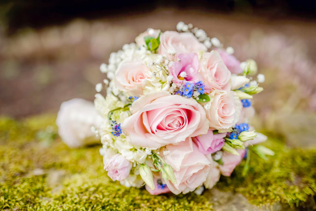 Обои картинки фото цветы, букеты,  композиции, розы, букет, свадебный, незабудки