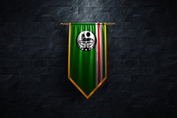 Картинка разное флаги +гербы флаг Чечни
