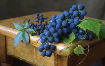 обоя еда, виноград, синий, ягоды
