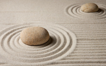 Картинка разное ракушки +кораллы +декоративные+и+spa-камни stone sand песок zen камни