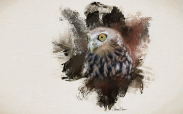 Картинка рисованное животные +птицы +совы +филины сова птица глаза фон