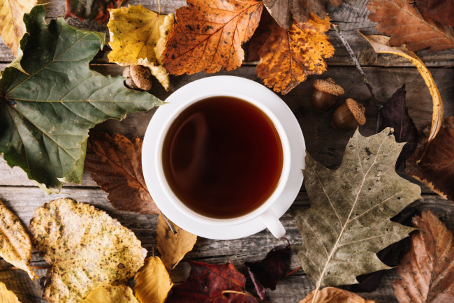 Обои картинки фото еда, напитки,  Чай, чай, осень, листья, напиток
