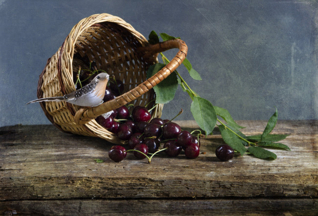 Обои картинки фото еда, вишня,  черешня, ягода, птичка, листья, корзина
