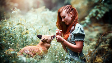 Картинка девушки -+рыжеволосые+и+разноцветные рыженькая причёска лисица