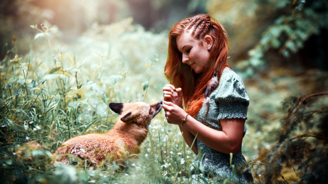 Обои картинки фото девушки, - рыжеволосые и разноцветные, рыженькая, причёска, лисица