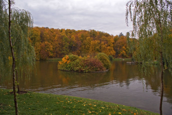 Картинка природа парк облака желтые листья трава дереья остров озеро