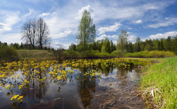 Картинка природа реки озера река небо лето