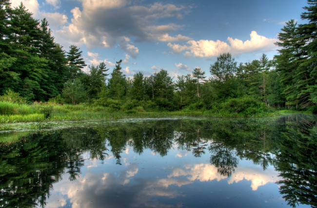 Обои картинки фото природа, реки, озера, вода, отражение, деревья