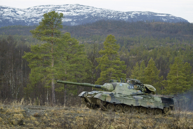 Обои картинки фото техника, военная, leopard1, танк, лес