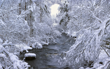 Картинка природа зима река деревья снег швеция
