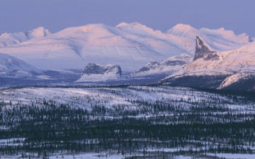 Картинка природа зима снег деревья горы