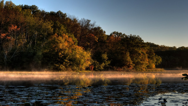 Обои картинки фото природа, реки, озера, туман, утро, озеро, лес