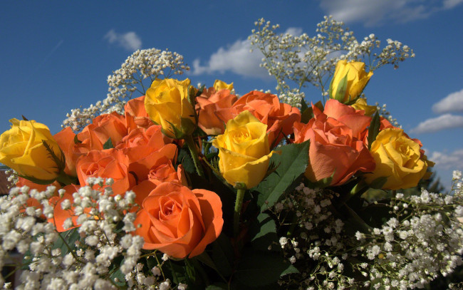 Обои картинки фото цветы, букеты, композиции, розы, букет