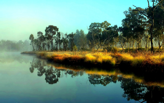 Обои картинки фото природа, реки, озера, трава, деревья, озеро, туман
