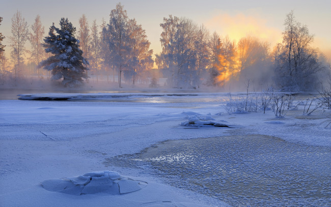 Обои картинки фото природа, зима, озеро, лед, деревья, иней, рассвет