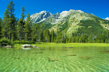 Картинка grand teton national park wyoming природа реки озера горы лес озеро