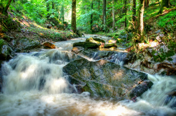 Картинка природа реки озера камни стремнина река лес пороги