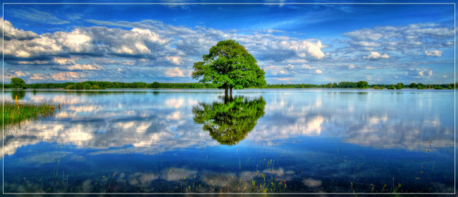 Обои картинки фото природа, реки, озера, лето, простор, одинокое, дерево, трава, облака, озеро