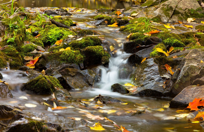 Обои картинки фото amity, creek, duluth, minnesota, природа, реки, озера, lester, park, лестер, парк, миннесота, дулут, осень, листья, камни, речка, ручей