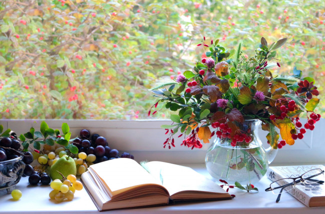 Обои картинки фото еда, натюрморт, книга, букет, окно, груша, виноград