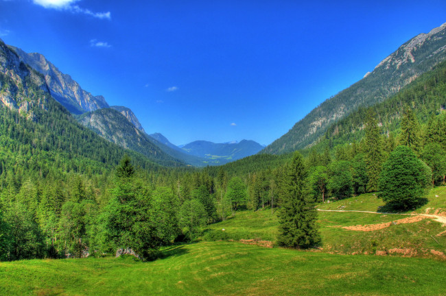 Обои картинки фото германия, бавария, природа, горы, лес, поляна