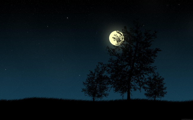 Обои картинки фото векторная графика, природа , nature, луна, звезды, силуэты, деревья, ночь