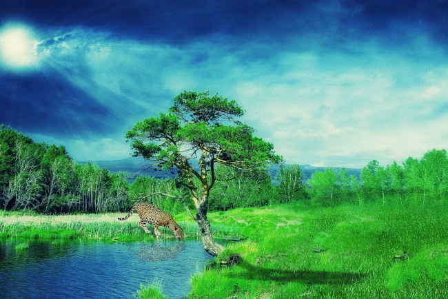 Обои картинки фото животные, Ягуары, ягуар, пейзаж, зелень, пятнистый, лучи, солнца, небо, трава, деревья, водоём, тучи, хищник