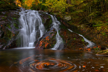 Картинка природа водопады лес осень поток водопад